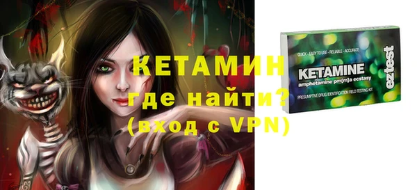стаф Богданович