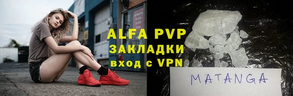 стаф Богданович