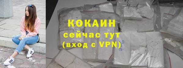 стаф Богданович