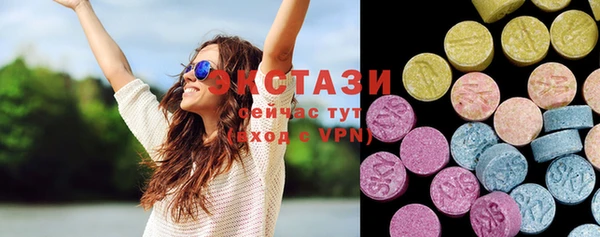 стаф Богданович